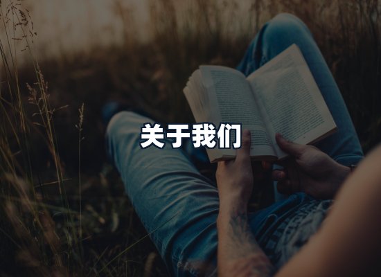 关于我们